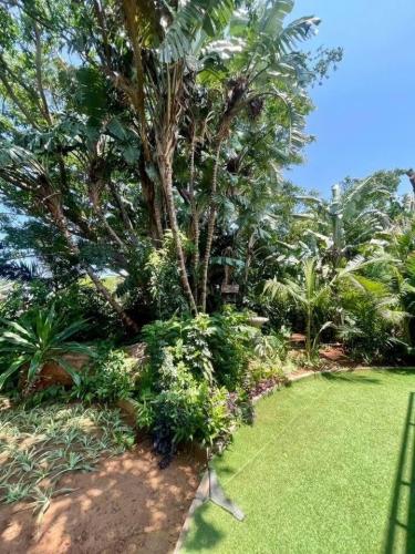 photo_6208366886001512378_y